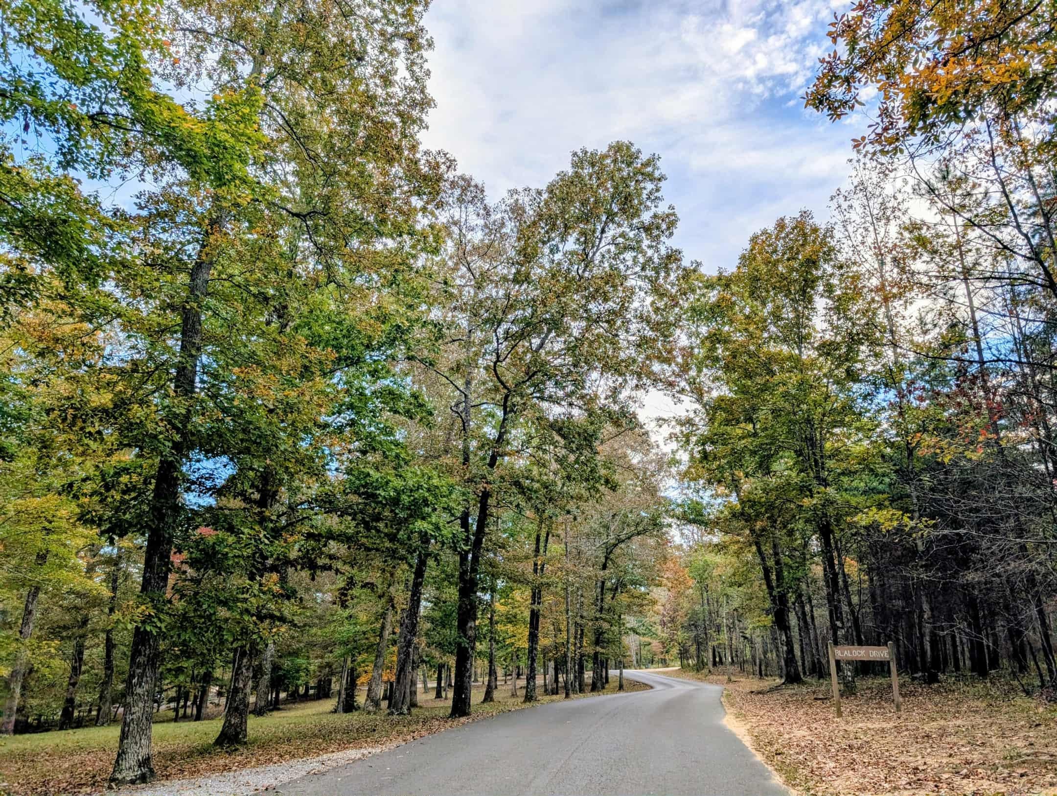 Lodge Road, Fall Color with greens