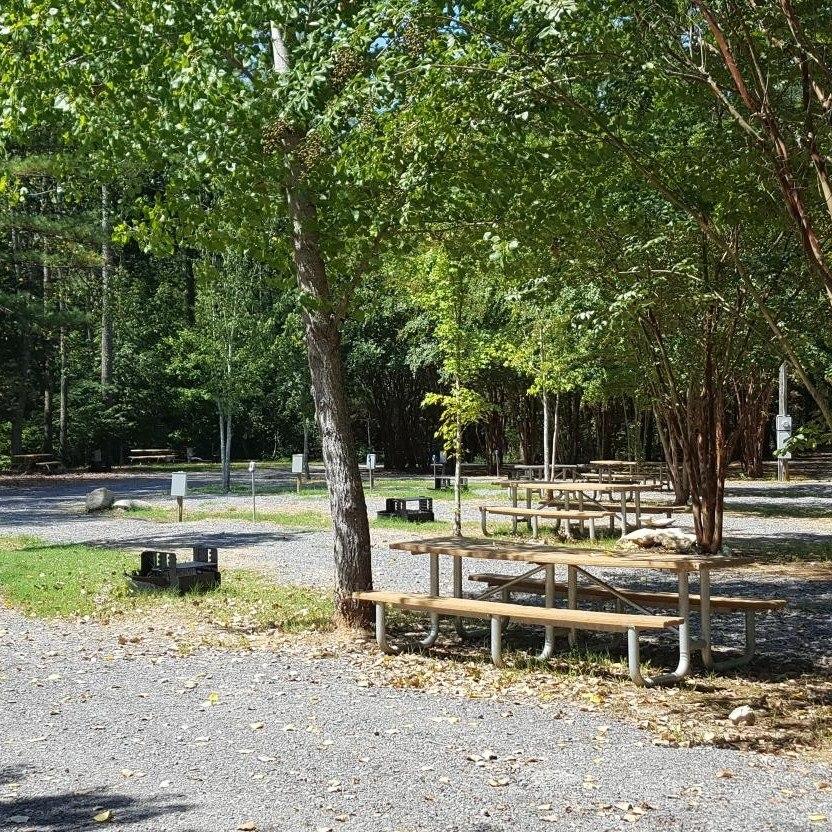 Empty campsites at Cathedral Caverns State Park with picnic tables in the background.