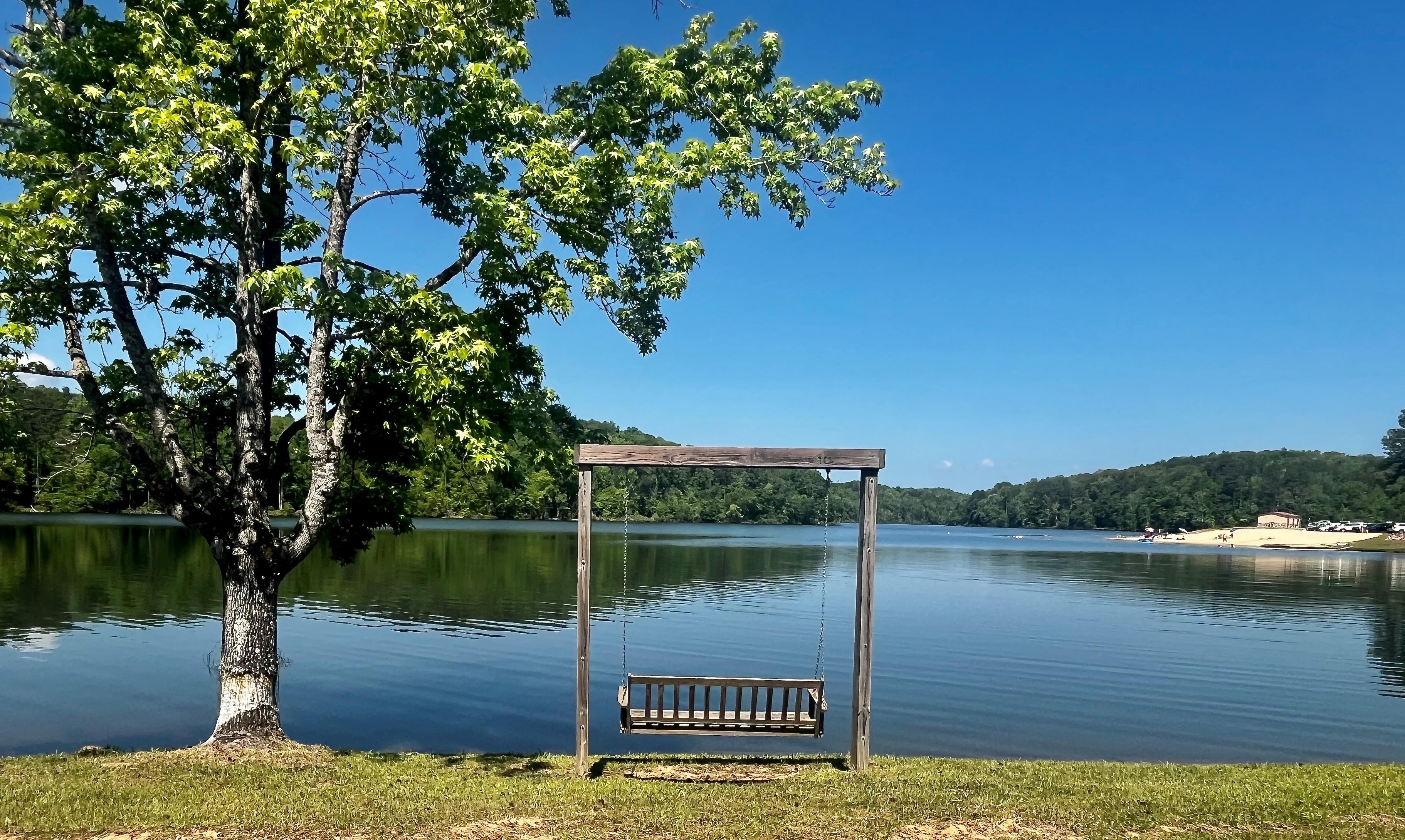 Wooden swing bench overlooking Lake Lurleen