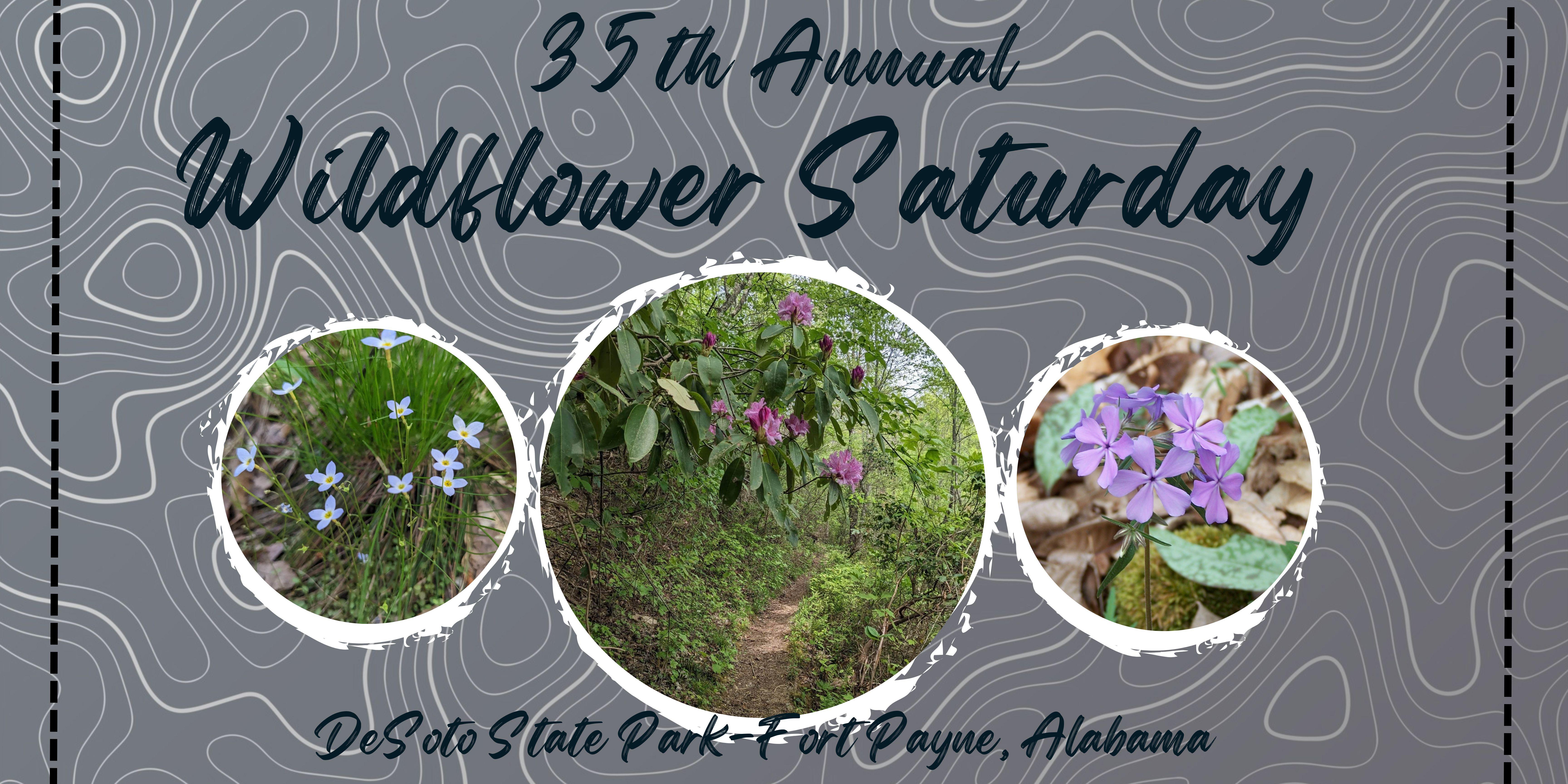 Wildflower Saturday 35th annual
