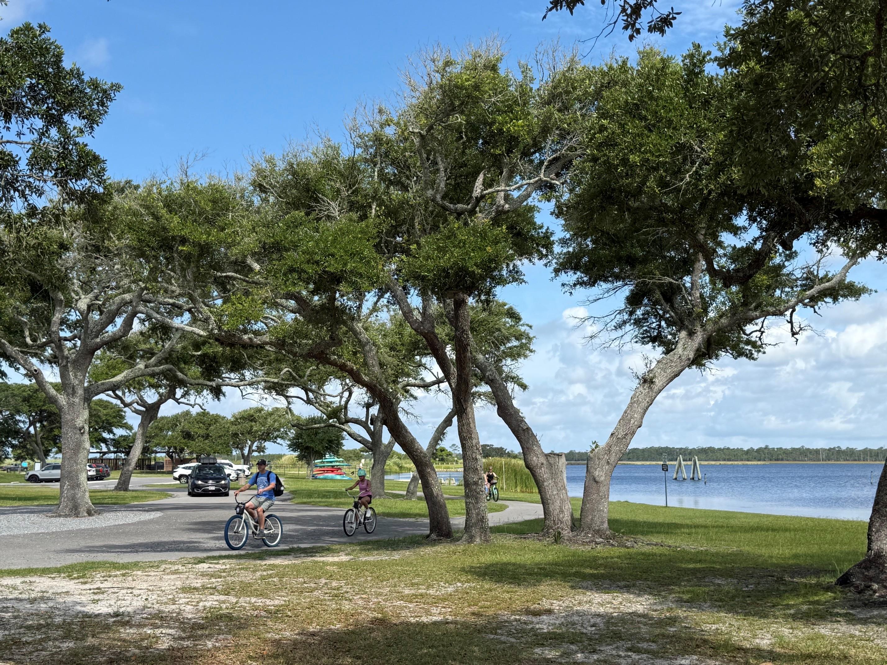 A paved path winds through a shaded park area with large trees, where several people ride bicycles. Cars are visible on a nearby road, and a calm body of water stretches across the right side of the scene under a partly cloudy sky.