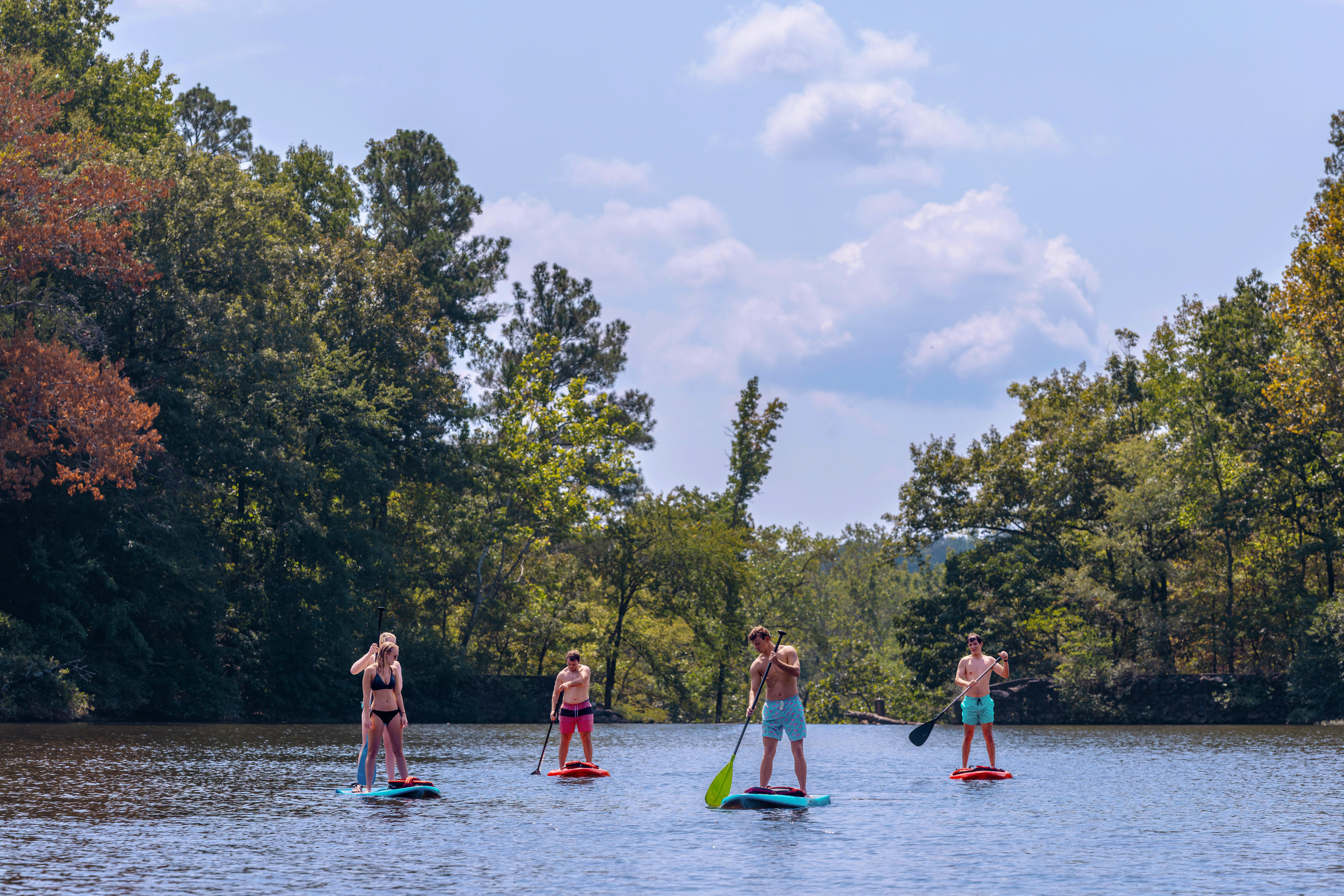 A group of five individuals stand on paddleboards on a calm lake, each holding a paddle. They are spaced out across the water, surrounded by dense green trees with some patches of orange foliage. The sky above is bright with scattered clouds.