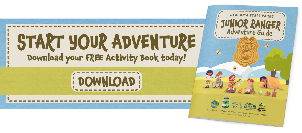 Start your adventure today! Download your FREE activity guide,